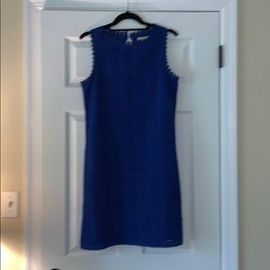 Max studio women’s royal blue lace overlay dress